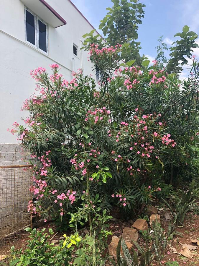 Castle 50 Villa Coimbatore Ngoại thất bức ảnh
